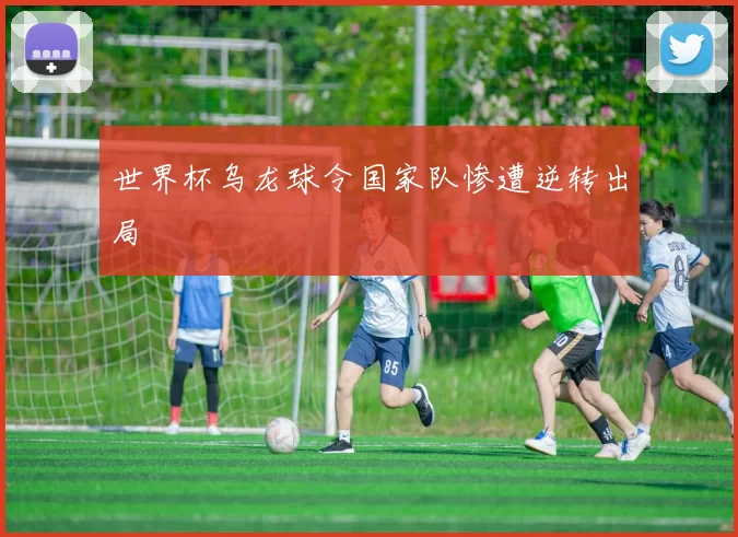 世界杯乌龙球令国家队惨遭逆转出局