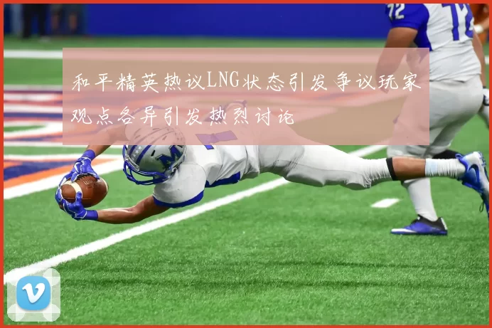 和平精英热议LNG状态引发争议玩家观点各异引发热烈讨论