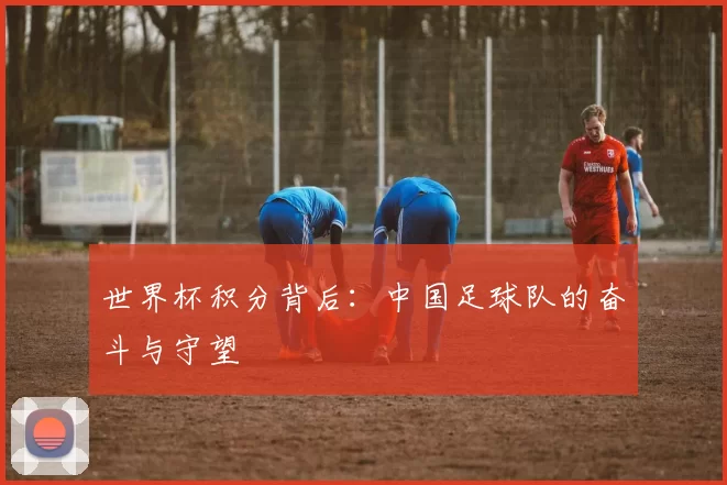 世界杯积分背后:中国足球队的奋斗与守望