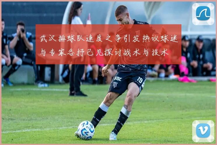 武汉排球队速度之争引发热议球迷与专家各抒己见探讨战术与技术