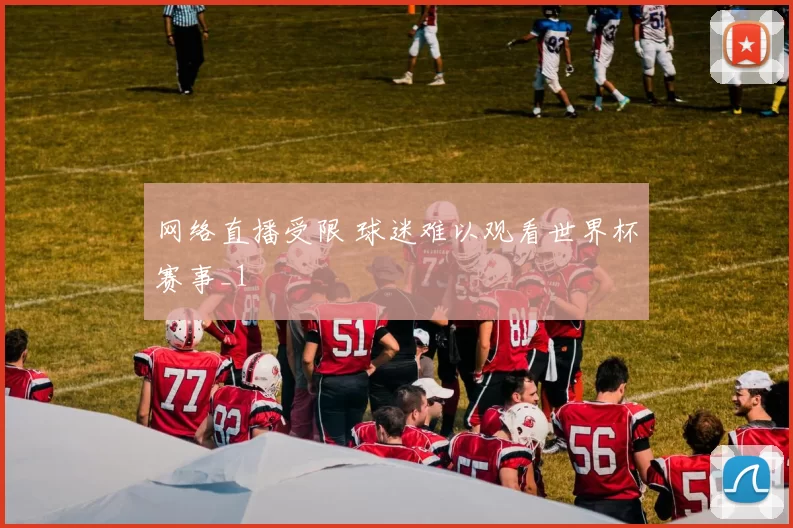 网络直播受限 球迷难以观看世界杯赛事_1