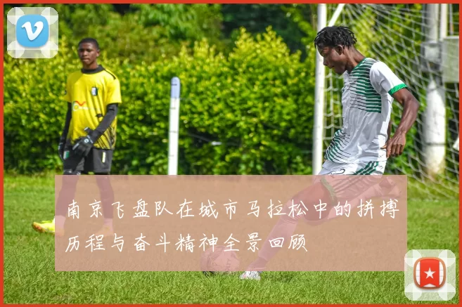 南京飞盘队在城市马拉松中的拼搏历程与奋斗精神全景回顾