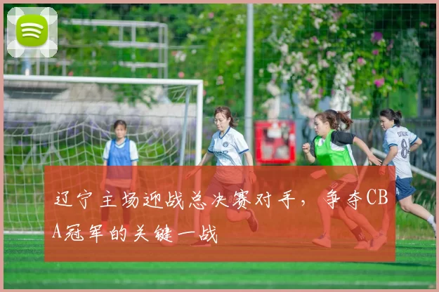 辽宁主场迎战总决赛对手,争夺CBA冠军的关键一战