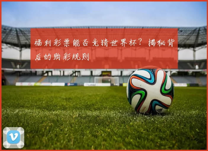 福利彩票能否竞猜世界杯？揭秘背后的购彩规则