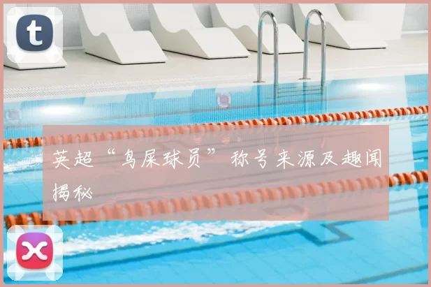 英超“鸟屎球员”称号来源及趣闻揭秘