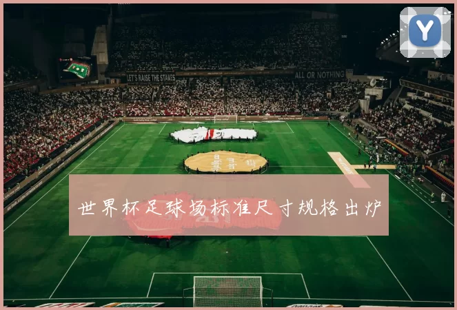 世界杯足球场标准尺寸规格出炉