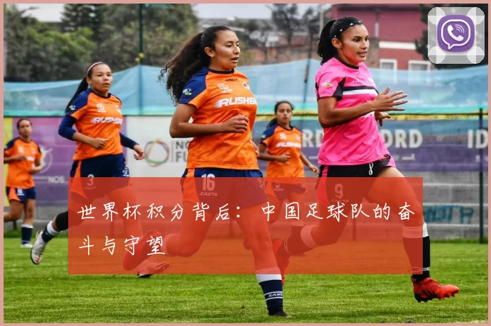 世界杯积分背后：中国足球队的奋斗与守望