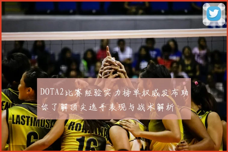 DOTA2比赛经验实力榜单权威发布助你了解顶尖选手表现与战术解析
