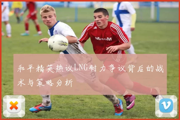 和平精英热议LNG耐力争议背后的战术与策略分析