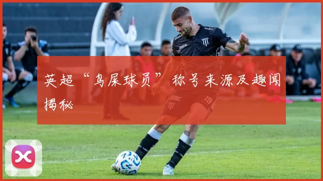 英超“鸟屎球员”称号来源及趣闻揭秘