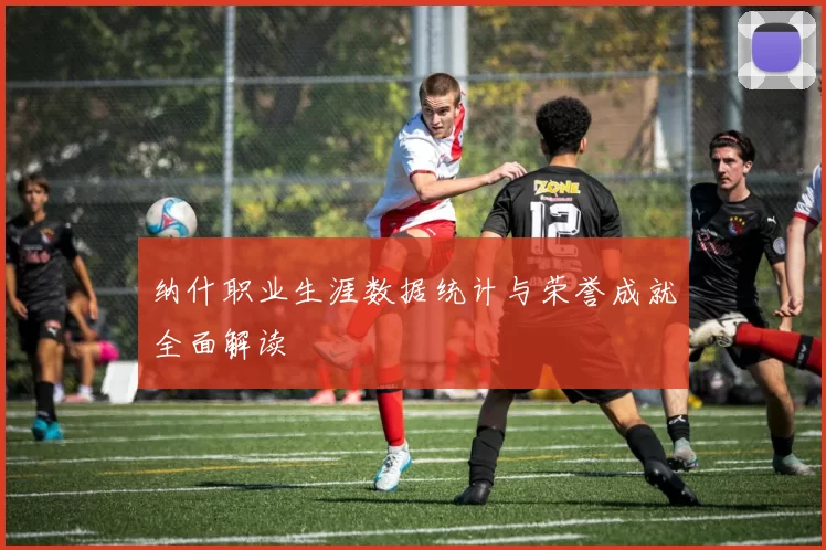 纳什职业生涯数据统计与荣誉成就全面解读